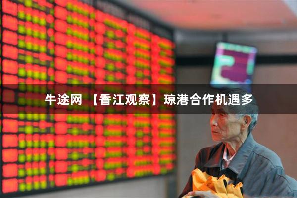 牛途网 【香江观察】琼港合作机遇多